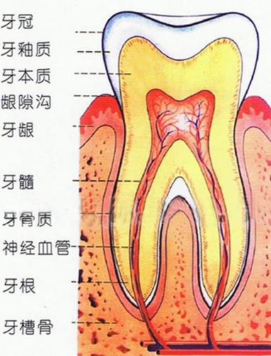 患有牙龈炎的征兆是什么