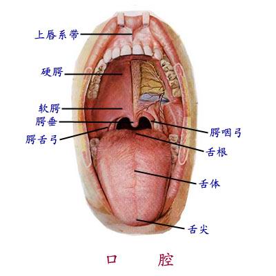 漳州如何预防口腔溃疡